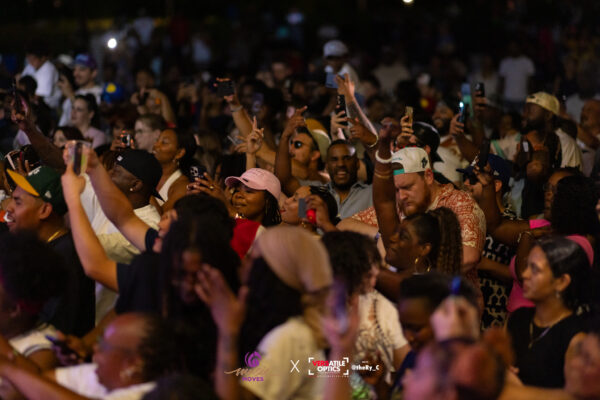 2025 Freedom Festival audience at night.